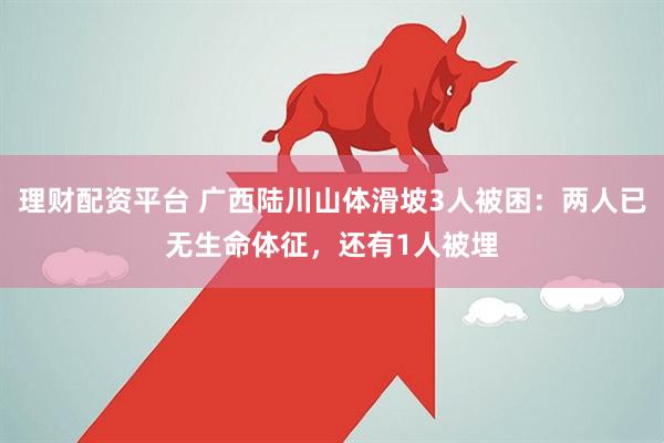 理财配资平台 广西陆川山体滑坡3人被困：两人已无生命体征，还有1人被埋