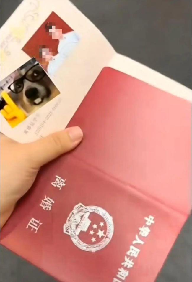 民政局回应结婚证发成离婚证 用错证件已更正