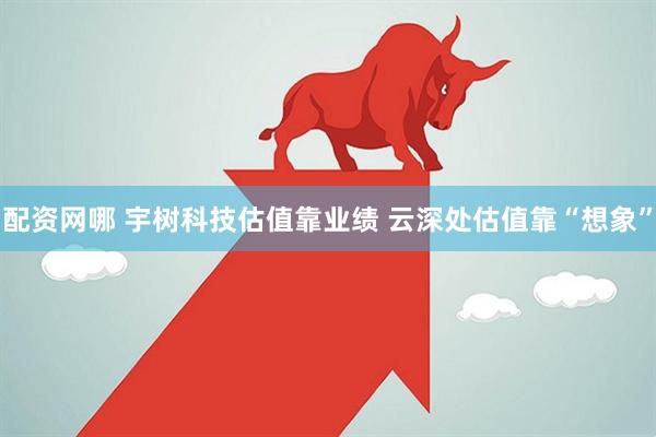 配资网哪 宇树科技估值靠业绩 云深处估值靠“想象”
