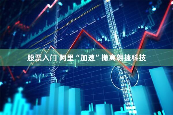股票入门 阿里“加速”撤离翱捷科技