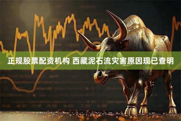 正规股票配资机构 西藏泥石流灾害原因现已查明