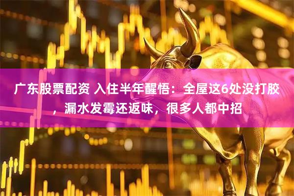 广东股票配资 入住半年醒悟：全屋这6处没打胶，漏水发霉还返味，很多人都中招